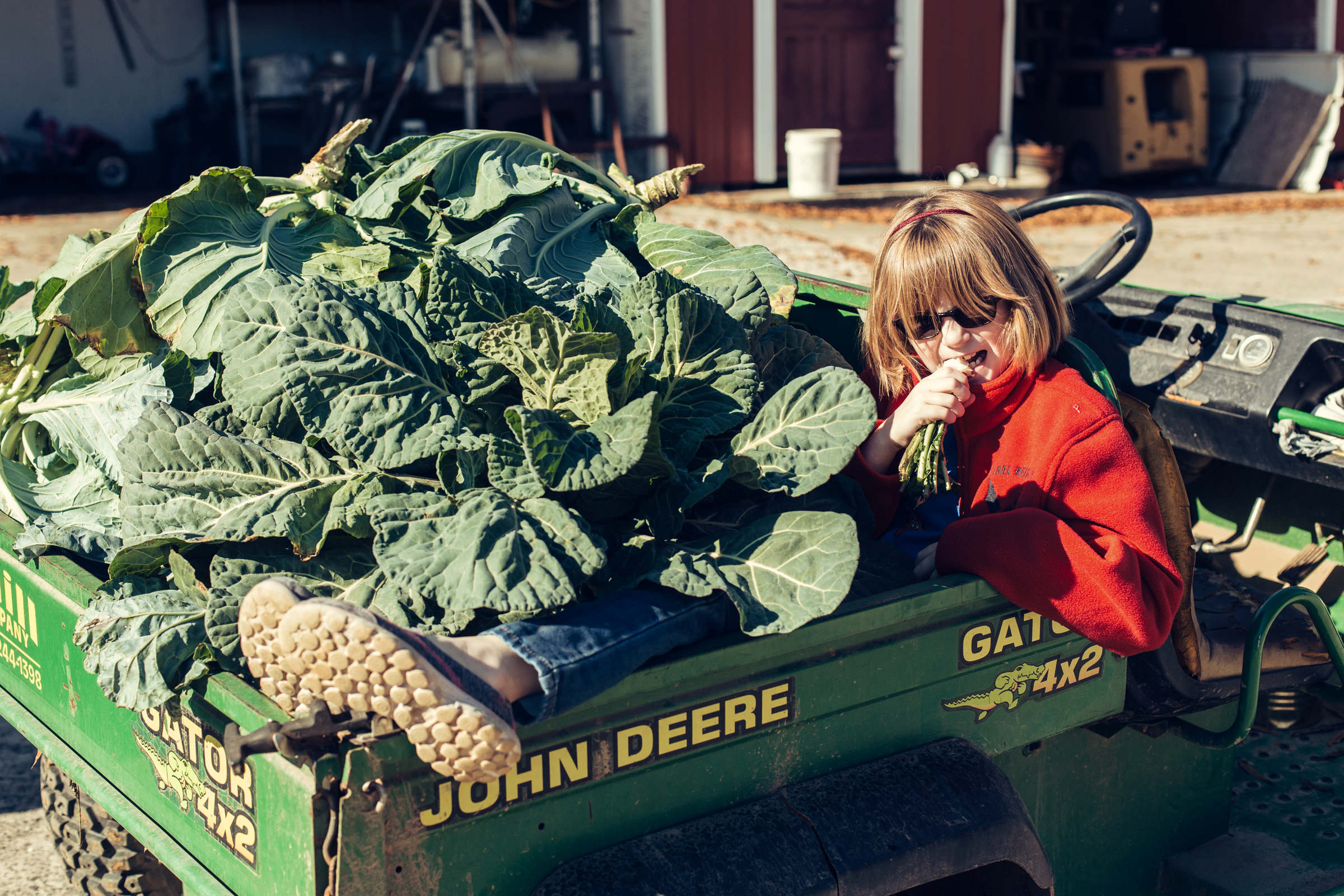 Jenkins Farm