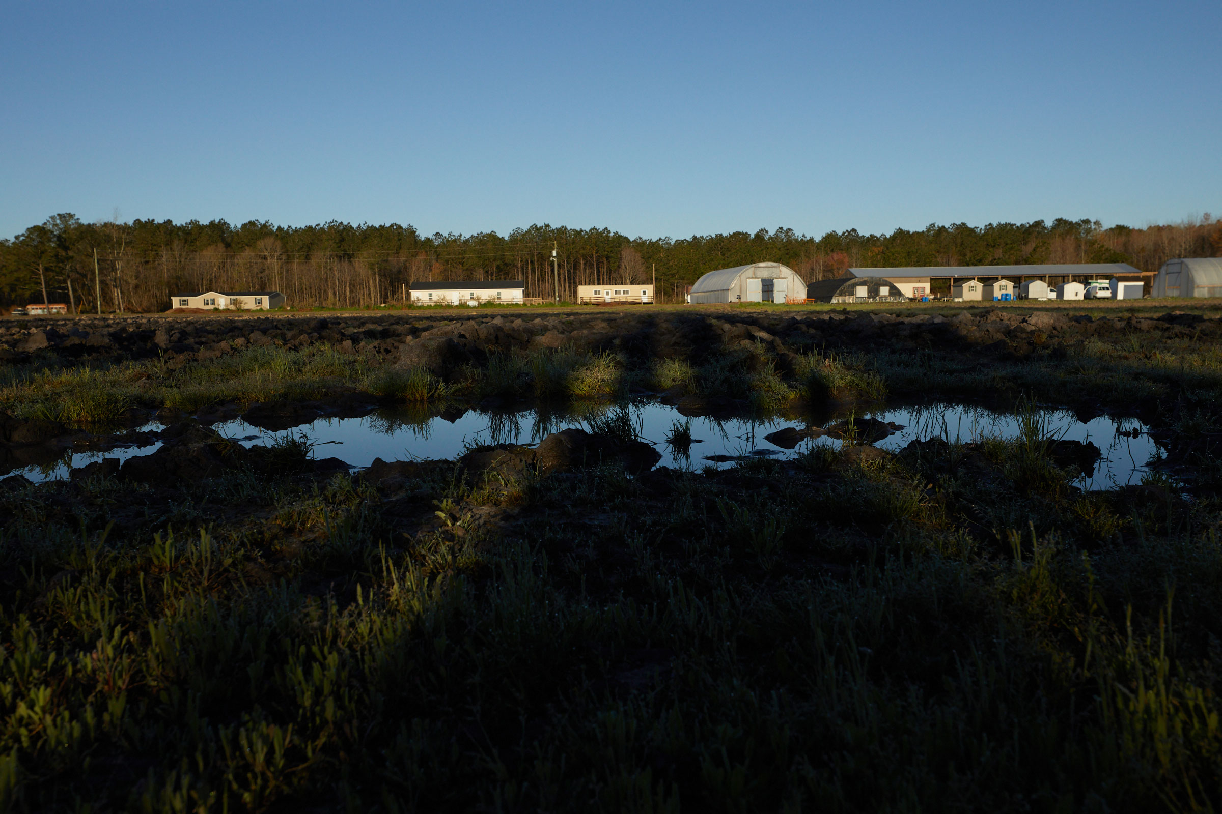 210330_AB_ConetoeFarm_0332